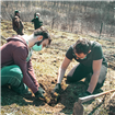 Echipa Muma Pădurii a plantat 1 hectar de pădure în județul Bistrița-Năsăud
