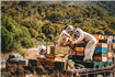 Piața mierii de Manuka 2022 va arăta o creștere impresionantă cu CAGR de 11,4%