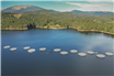 Cooperativa „Păstrăvul din Țara Ta” inaugurează prima fermă piscicolă pe lacul Oașa