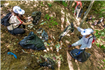 Voluntarii P&G și Carrefour au colectat 1.500 kg de deșeuri  din zona rezervației Valea Vâlsanului