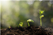 SGS, recunoscută din nou de către MSCI și FTSE4Good pentru performanța sa de top în domeniul ESG