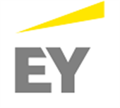 Ernst&Young SRL