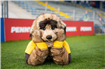 Sezonul fotbalistic a început la PENNY RONNY ajunge la magazinul Federației Române de Fotbal, iar fanii sunt  așteptați în Fan Zone la meciul România – Cipru 