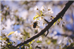 Corteva Agriscience sprijină câștigătoarea TalentA să creeze un „Bee Paradise” pentru o agricultură durabilă