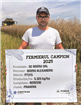5 tone/ha cu PT315: Fermierii din Argeș și Prahova, campioni la rapiță