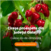Supermarketul online Sezamo: Numărul clienților care cumpără cireșe a crescut cu 66% 