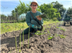 Cum a transformat o antreprenoare din România cultivarea sparanghelului într-o afacere de succes